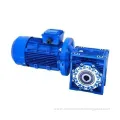 OEM Gear Reducer with Electric Motor Worm